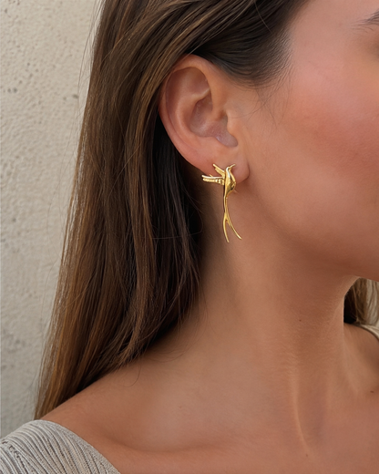 Aros Colibrí